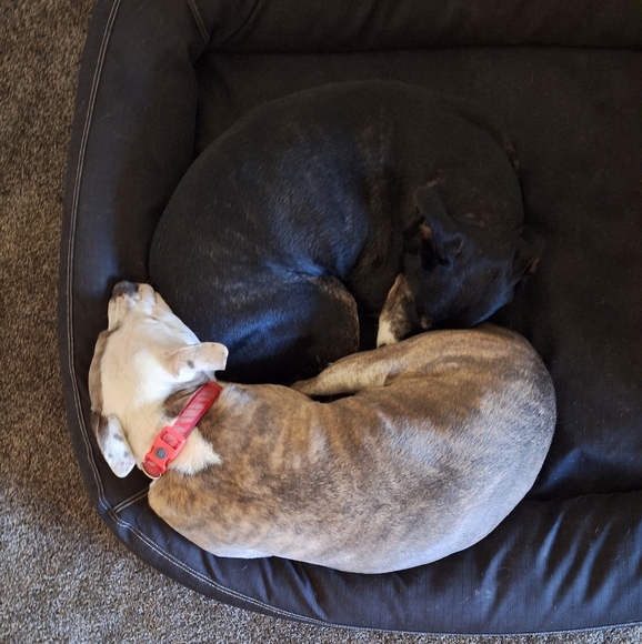 Meet your Posher, Mike - Picture 1 of 1